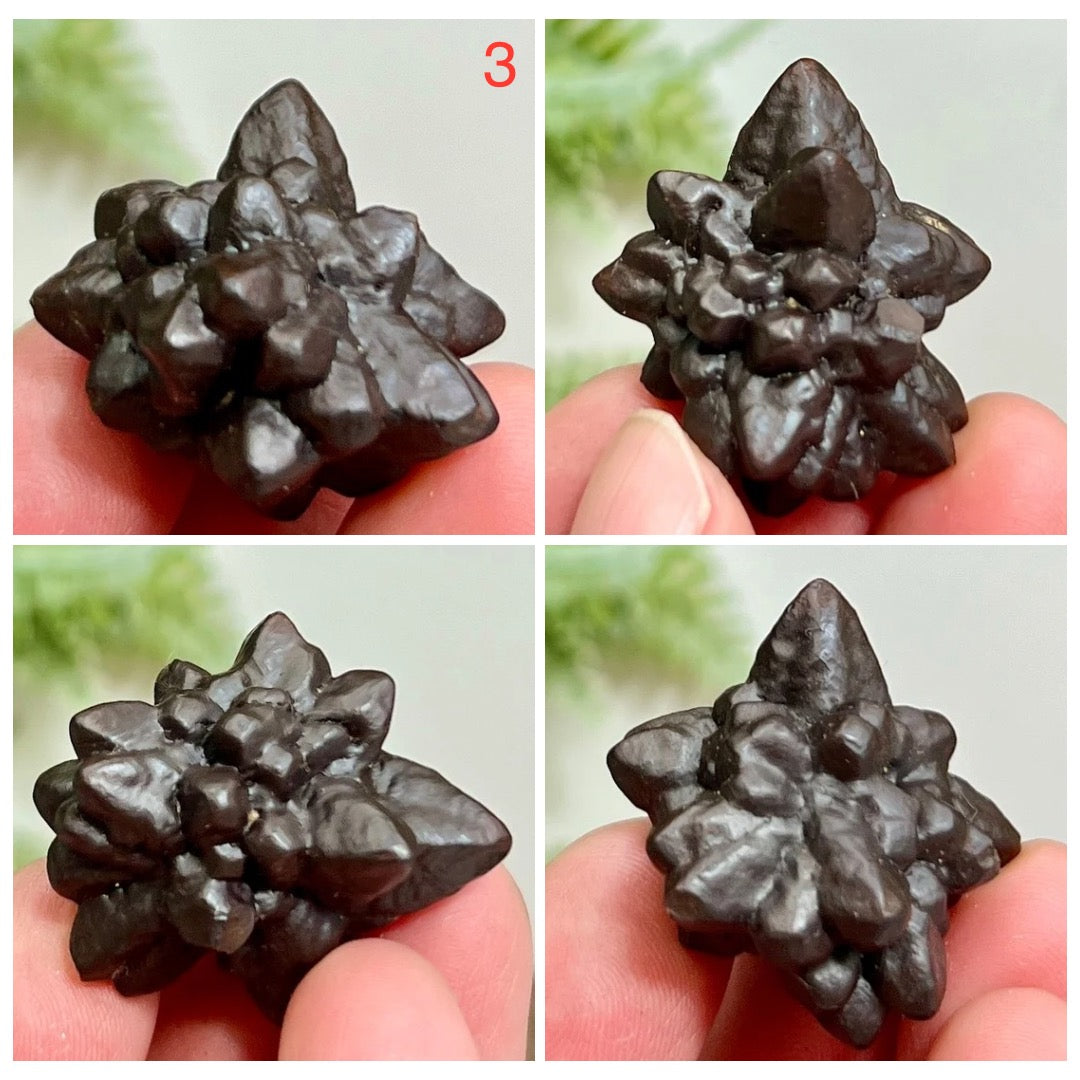 Prophecy Stones RARE Limonite Marcasite Raw Specimens Crystals