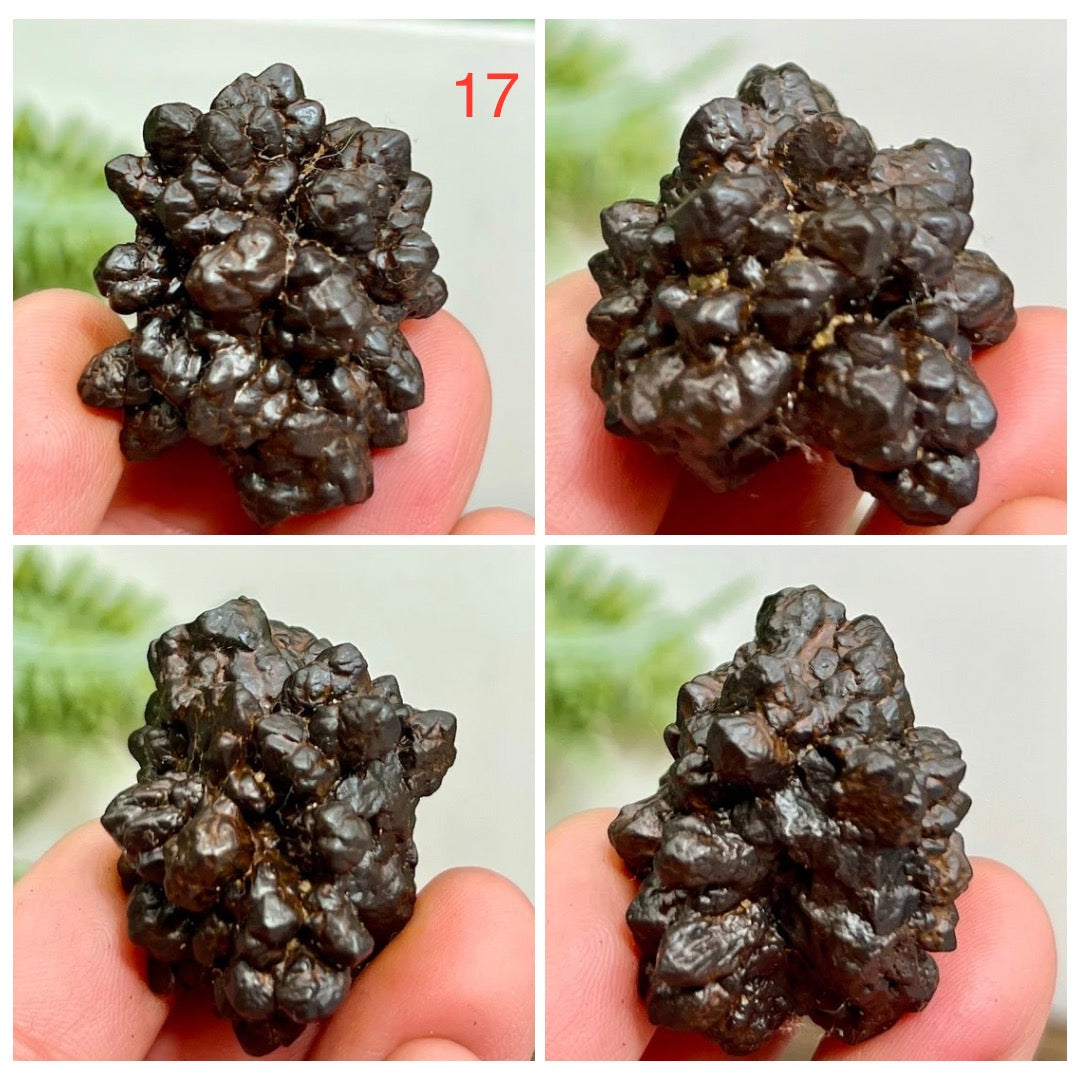 Prophecy Stones RARE Limonite Marcasite Raw Specimens Crystals