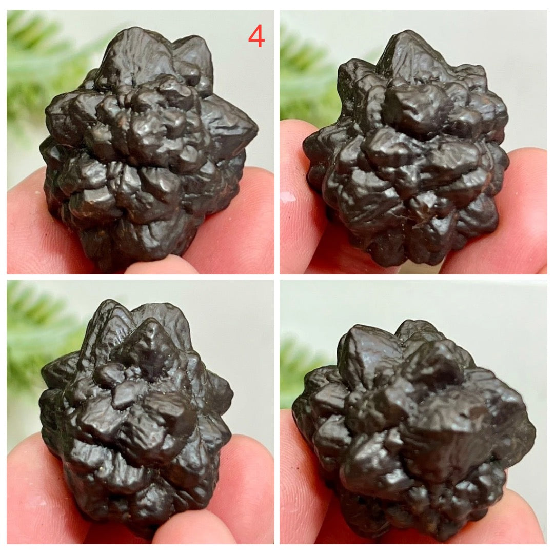 Prophecy Stones RARE Limonite Marcasite Raw Specimens Crystals