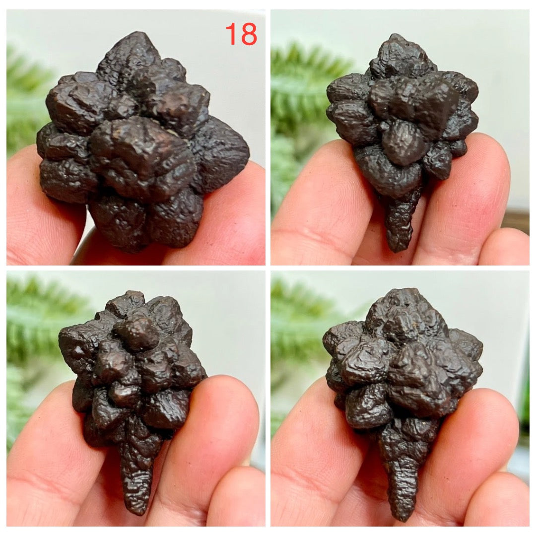 Prophecy Stones RARE Limonite Marcasite Raw Specimens Crystals