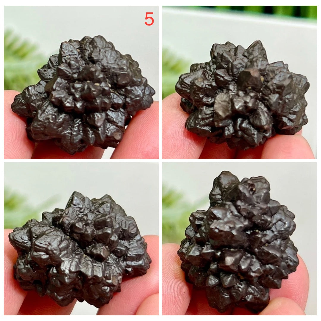 Prophecy Stones RARE Limonite Marcasite Raw Specimens Crystals