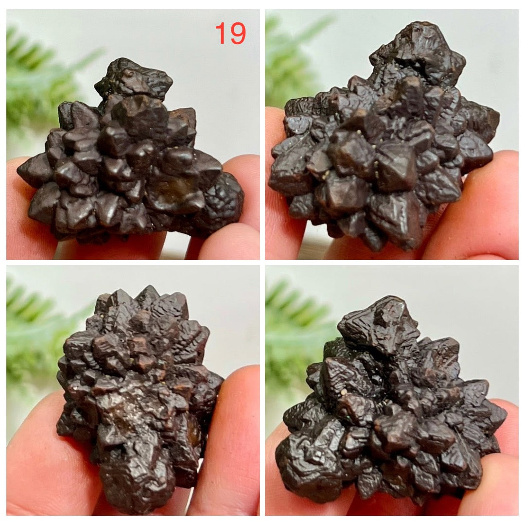 Prophecy Stones RARE Limonite Marcasite Raw Specimens Crystals