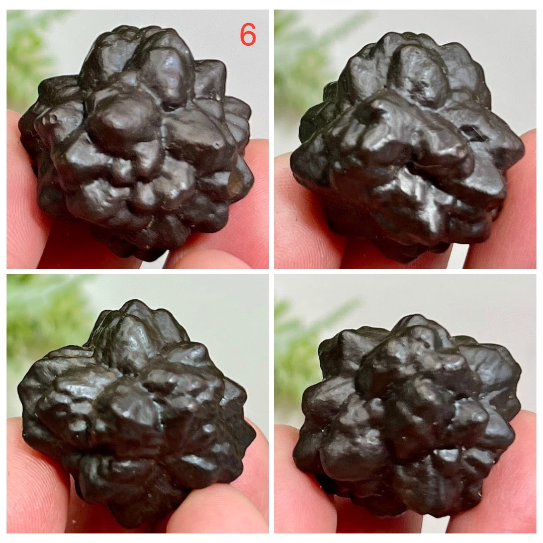 Prophecy Stones RARE Limonite Marcasite Raw Specimens Crystals