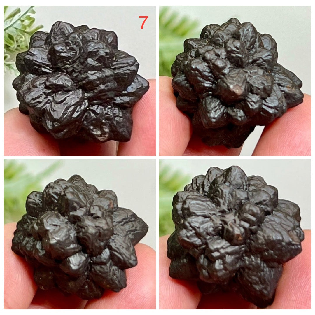 Prophecy Stones RARE Limonite Marcasite Raw Specimens Crystals