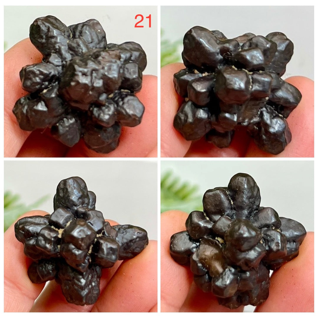 Prophecy Stones RARE Limonite Marcasite Raw Specimens Crystals