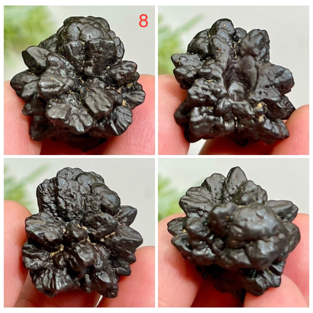 Prophecy Stones RARE Limonite Marcasite Raw Specimens Crystals