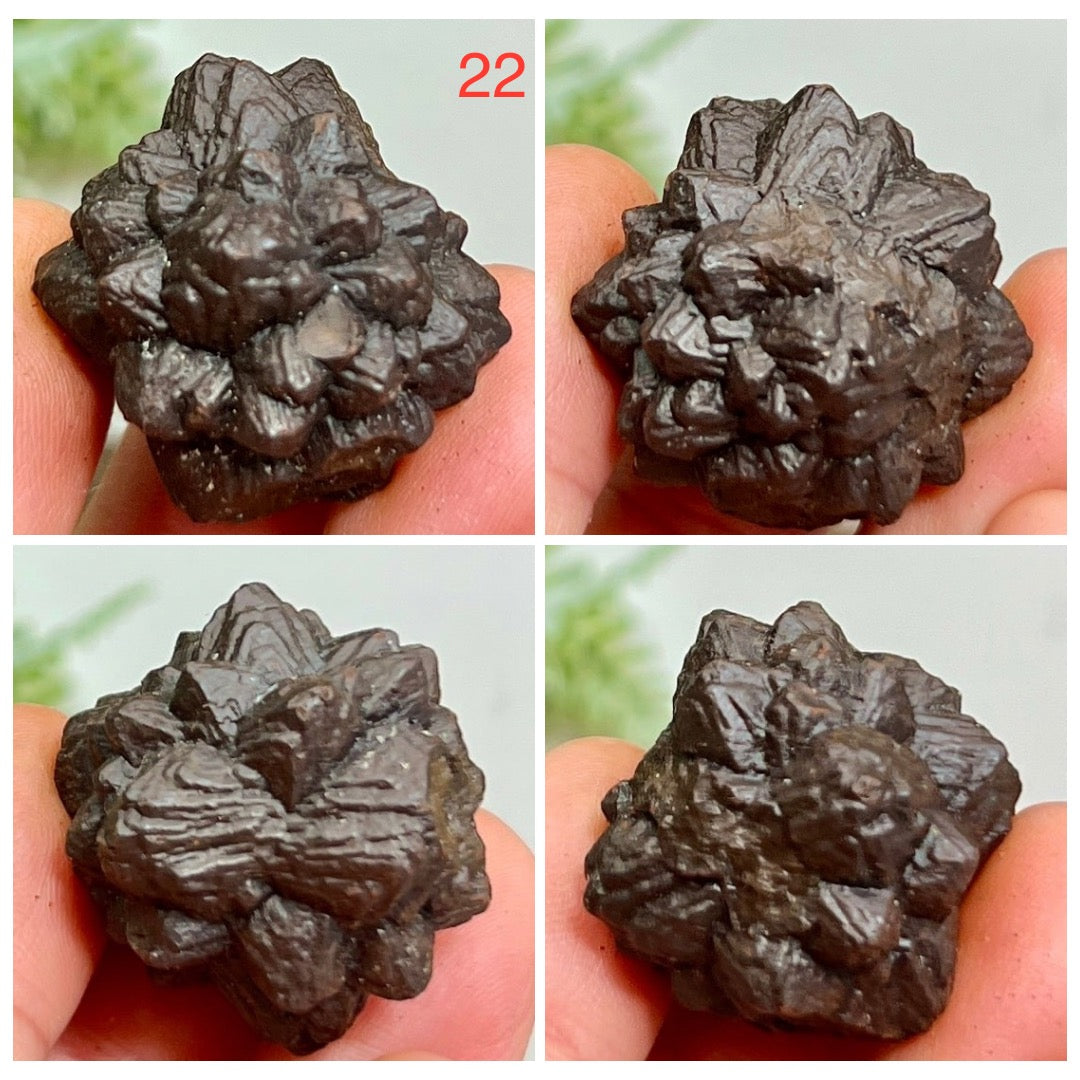 Prophecy Stones RARE Limonite Marcasite Raw Specimens Crystals