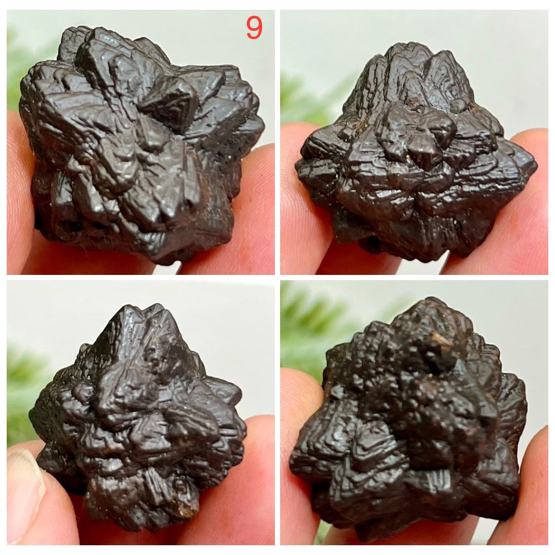 Prophecy Stones RARE Limonite Marcasite Raw Specimens Crystals