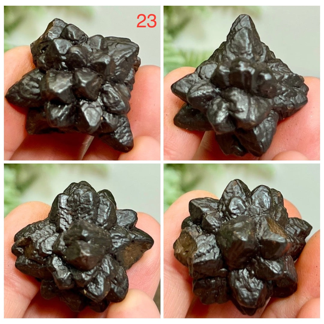 Prophecy Stones RARE Limonite Marcasite Raw Specimens Crystals