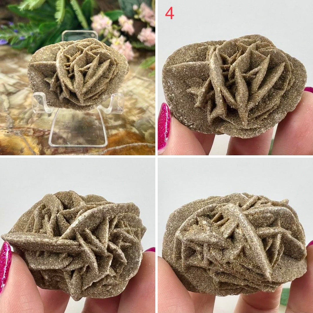 Desert Rose Selenite Barite Specimens Natural Crystal YOU CHOOSE