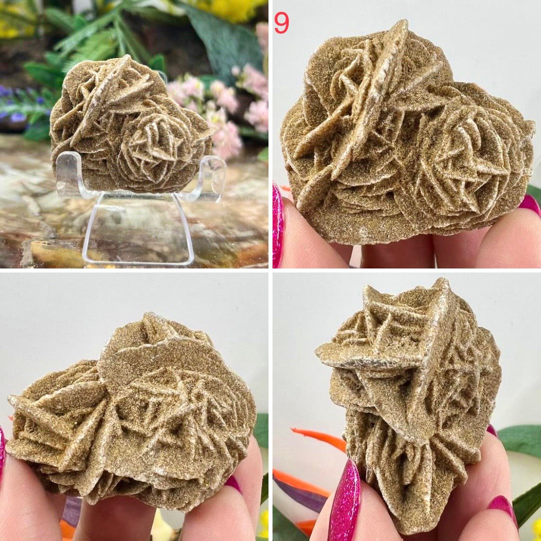 Desert Rose Selenite Barite Specimens Natural Crystal YOU CHOOSE