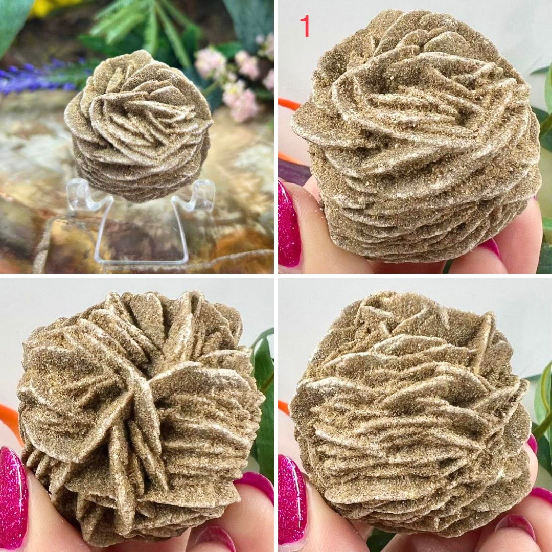 Desert Rose Selenite Barite Specimens Natural Crystal YOU CHOOSE