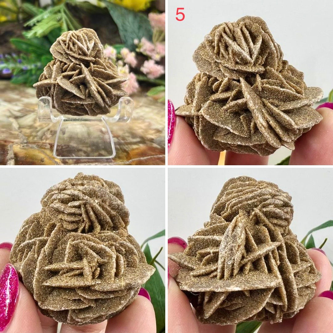 Desert Rose Selenite Barite Specimens Natural Crystal YOU CHOOSE
