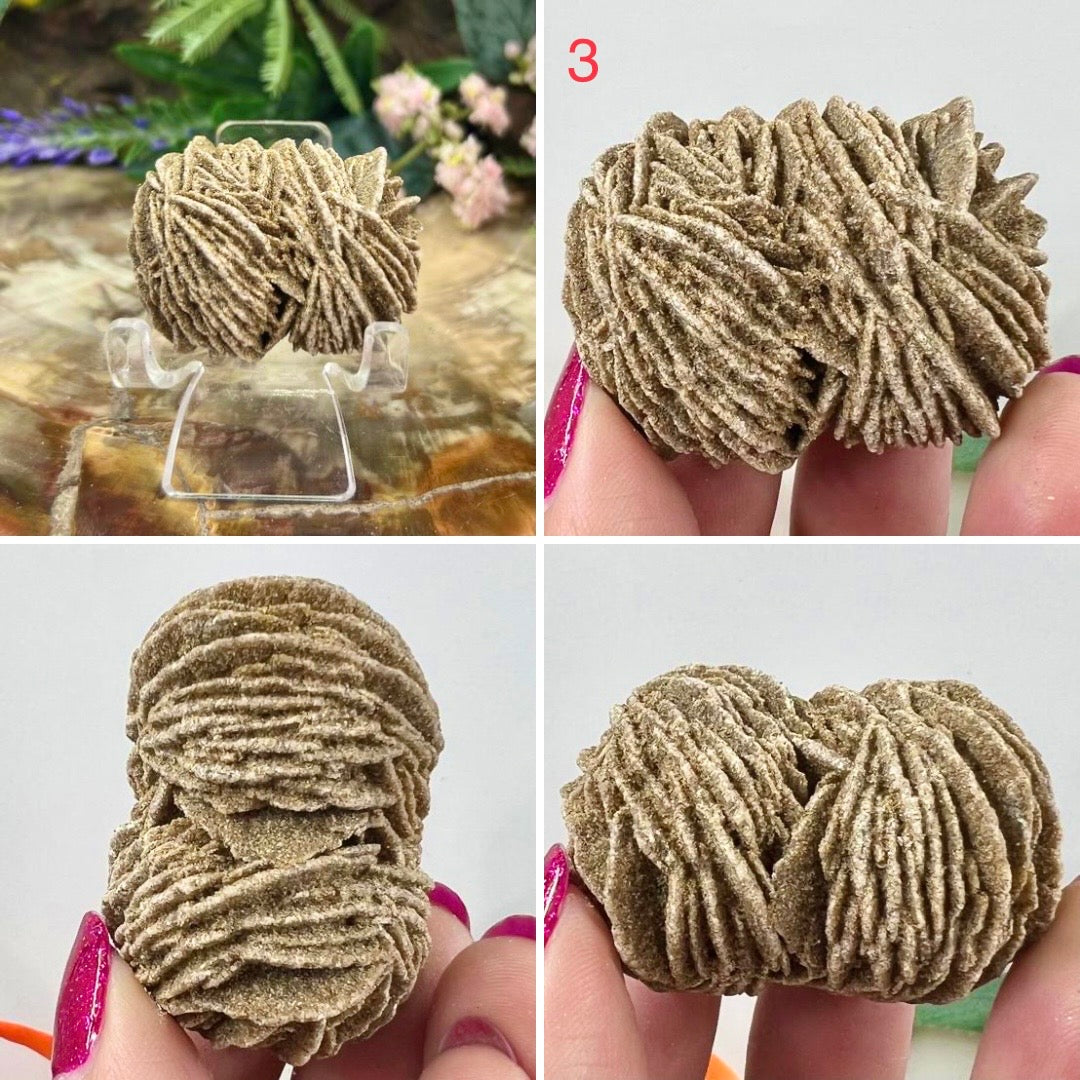 Desert Rose Selenite Barite Specimens Natural Crystal YOU CHOOSE