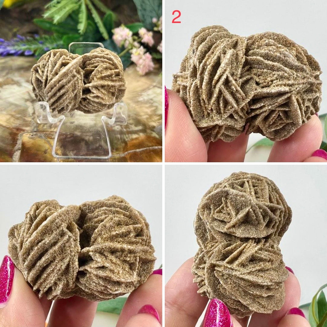 Desert Rose Selenite Barite Specimens Natural Crystal YOU CHOOSE