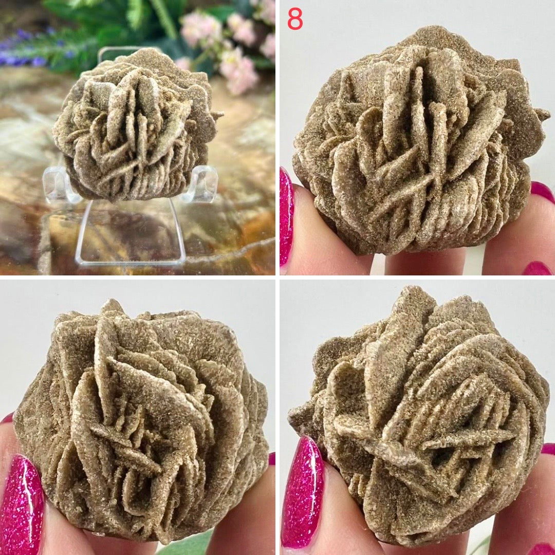 Desert Rose Selenite Barite Specimens Natural Crystal YOU CHOOSE