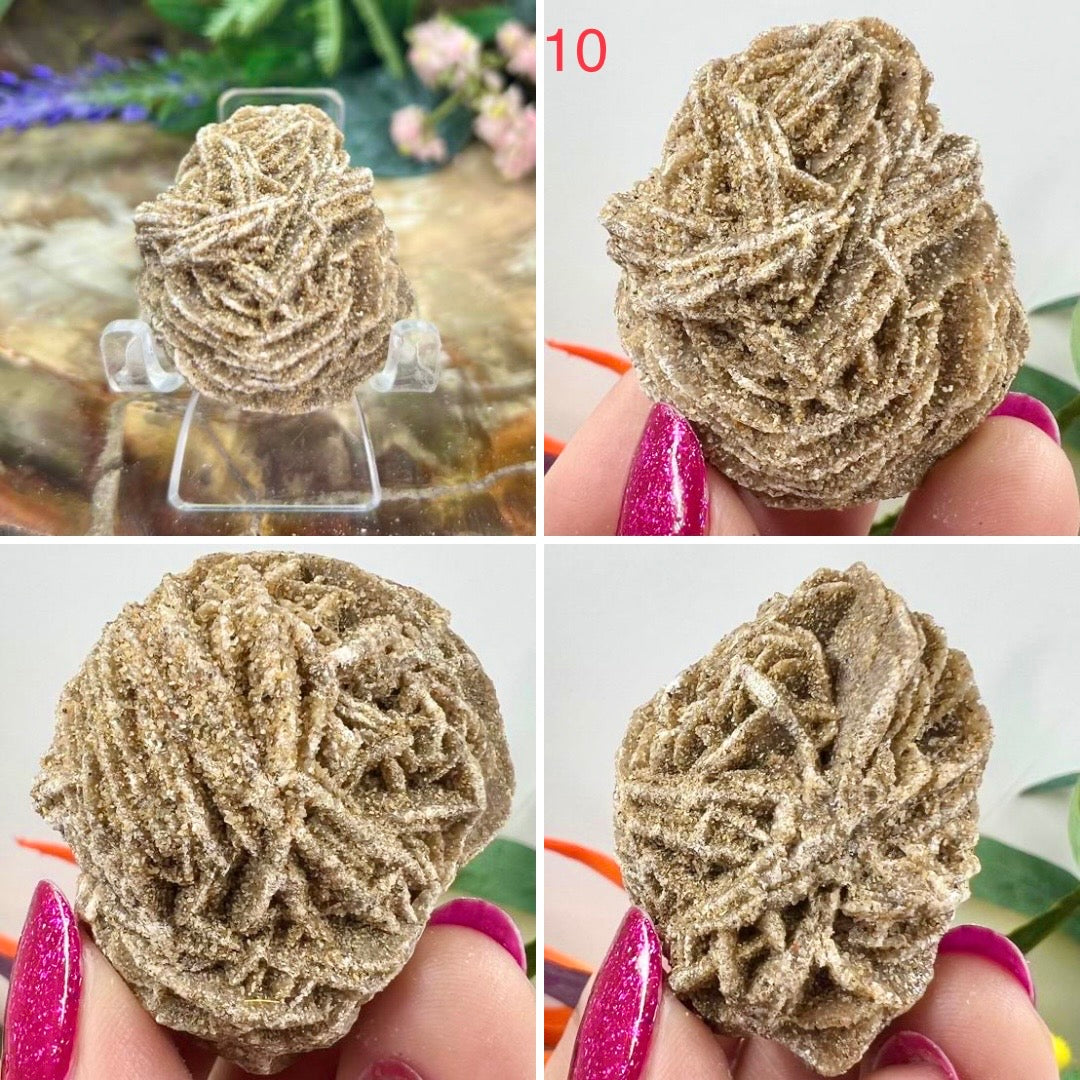 Desert Rose Selenite Barite Specimens Natural Crystal YOU CHOOSE