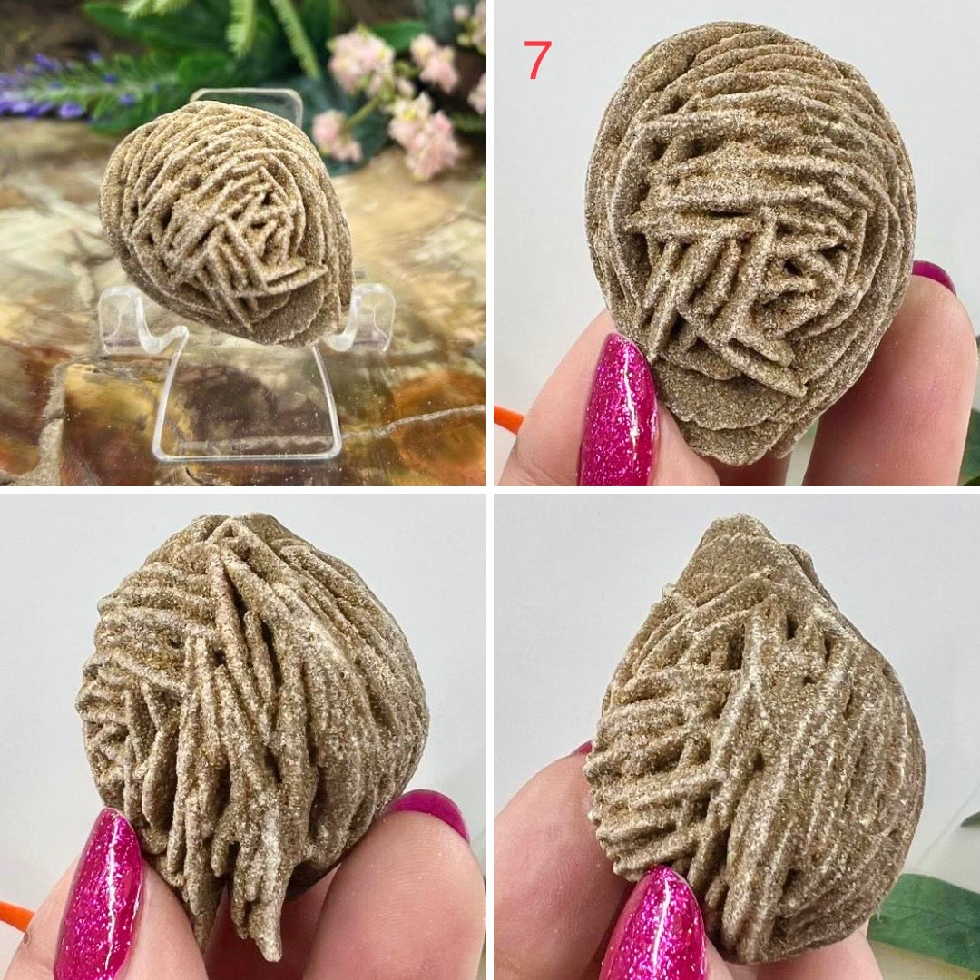 Desert Rose Selenite Barite Specimens Natural Crystal YOU CHOOSE