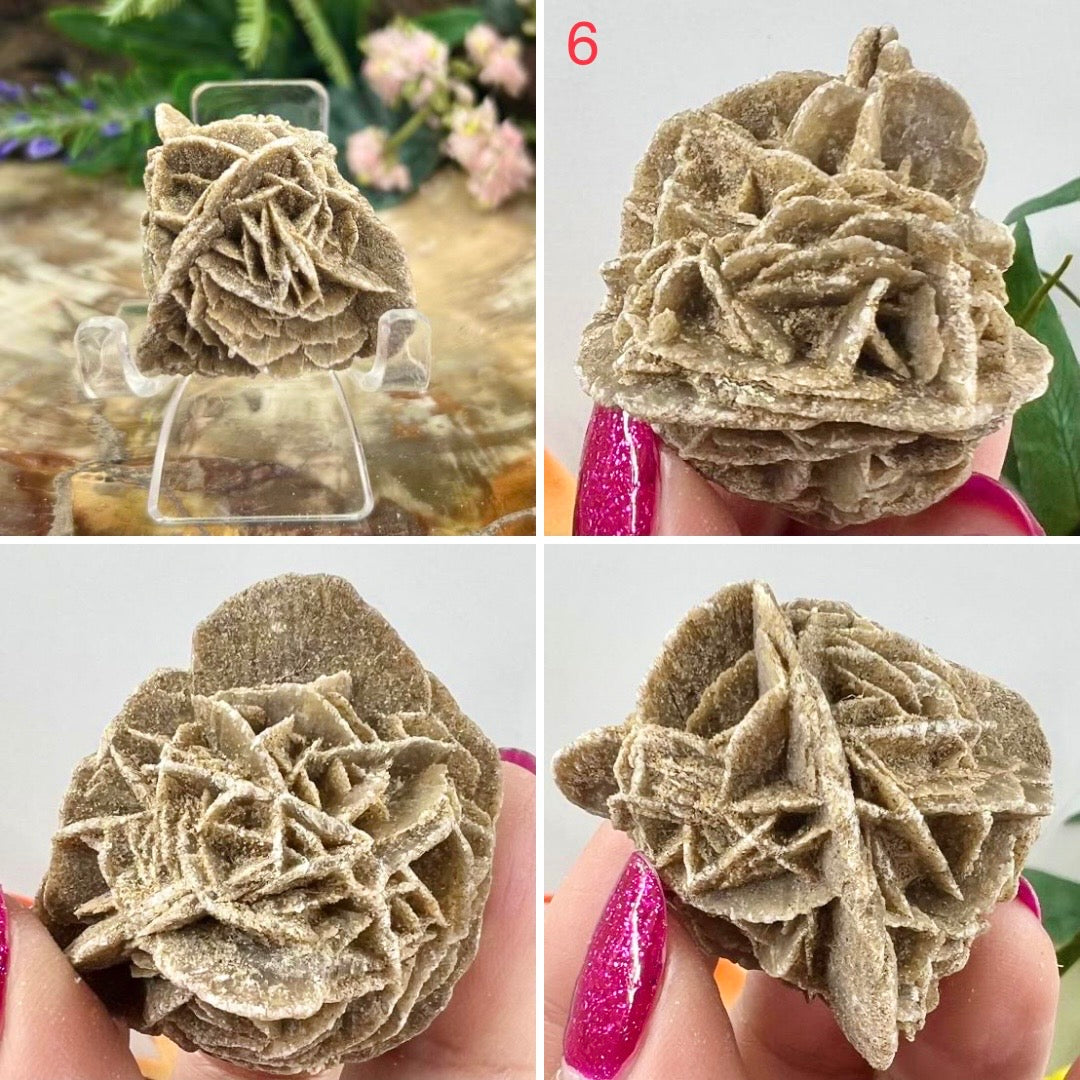 Desert Rose Selenite Barite Specimens Natural Crystal YOU CHOOSE