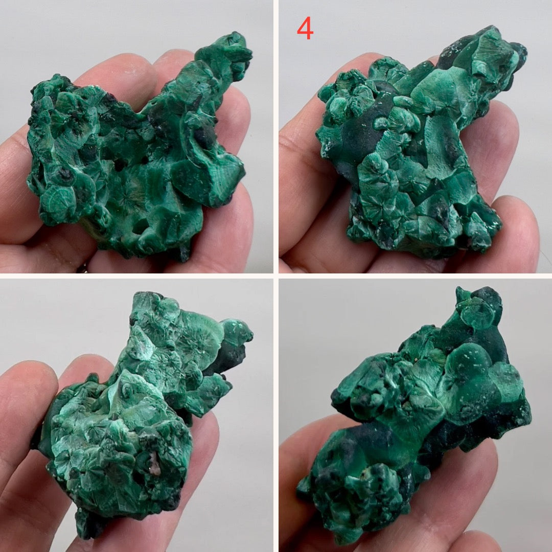 Malachite Specimen Raw Crystal Gemstone YOU CHOOSE