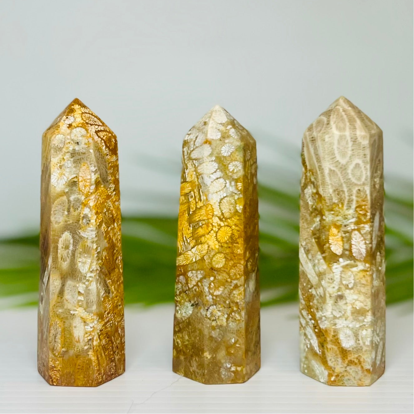 Fossil Coral Jasper Points Towers Crystal Generators YOU CHOOSE