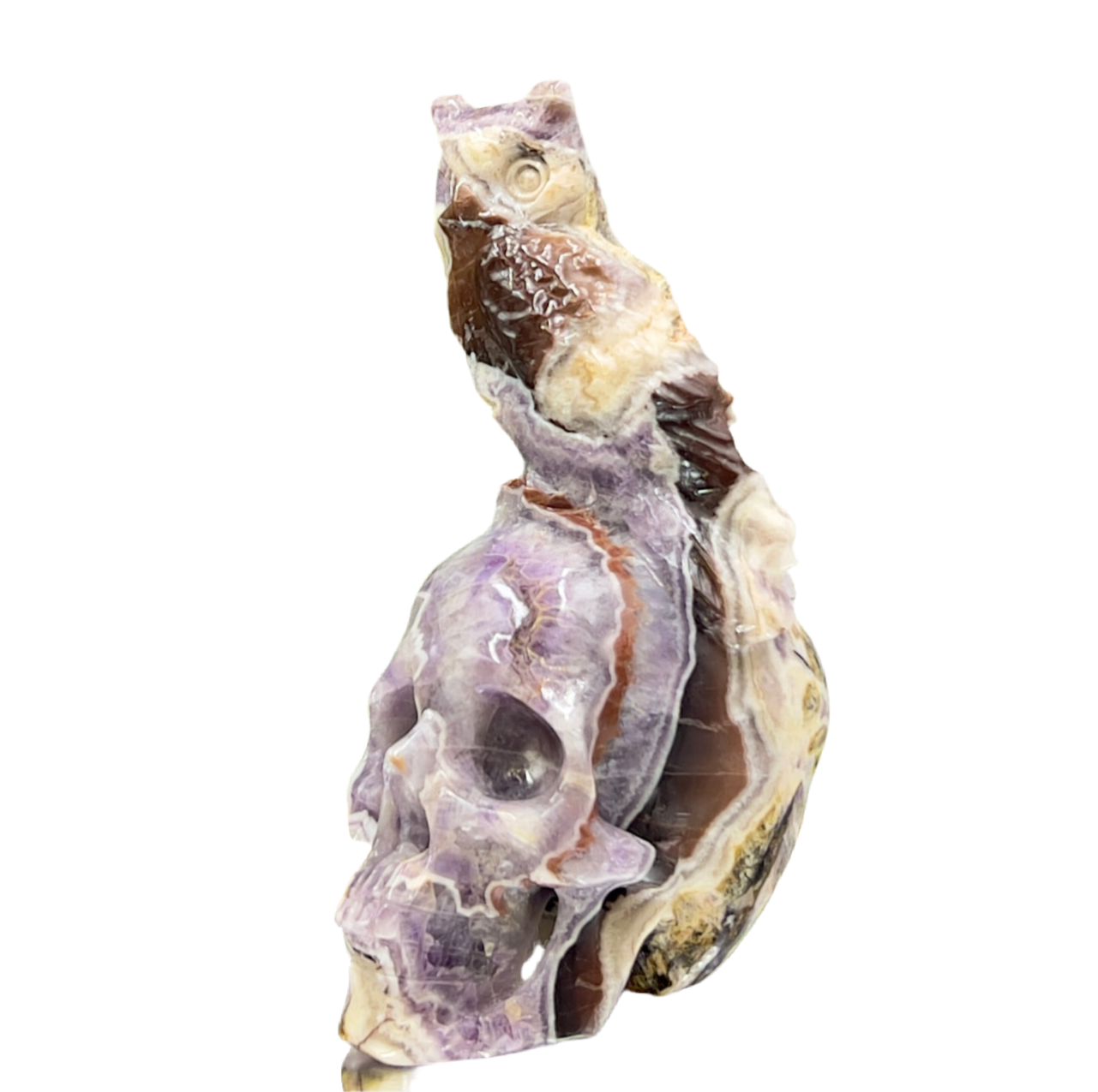 Chevron Dream Amethyst Owl on Skull Hollow Jaw  Crystal Carving 700g