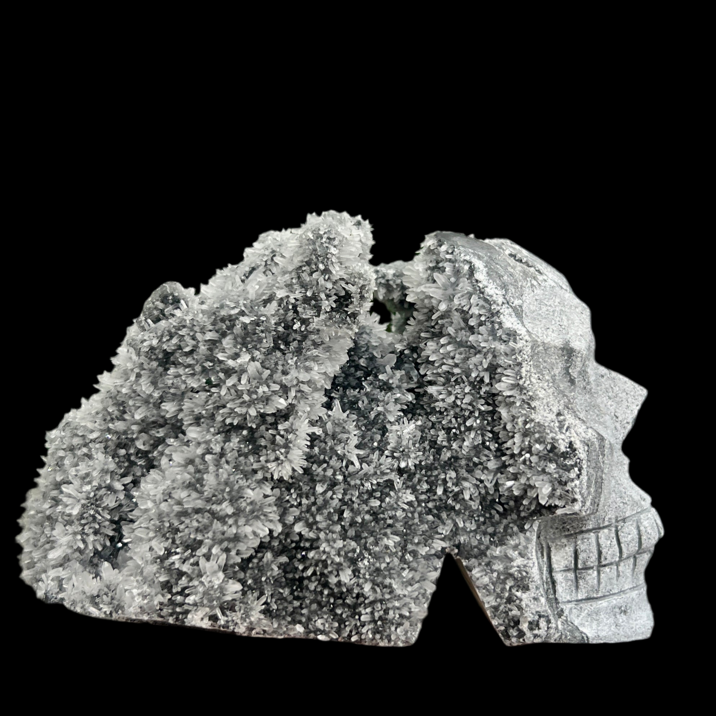 Black Quartz Skull Large Druzy Crystal 1158g