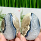 Volcanic Agate Quartz Palm Stones UV Reactive Crystals YOU CHOOSE