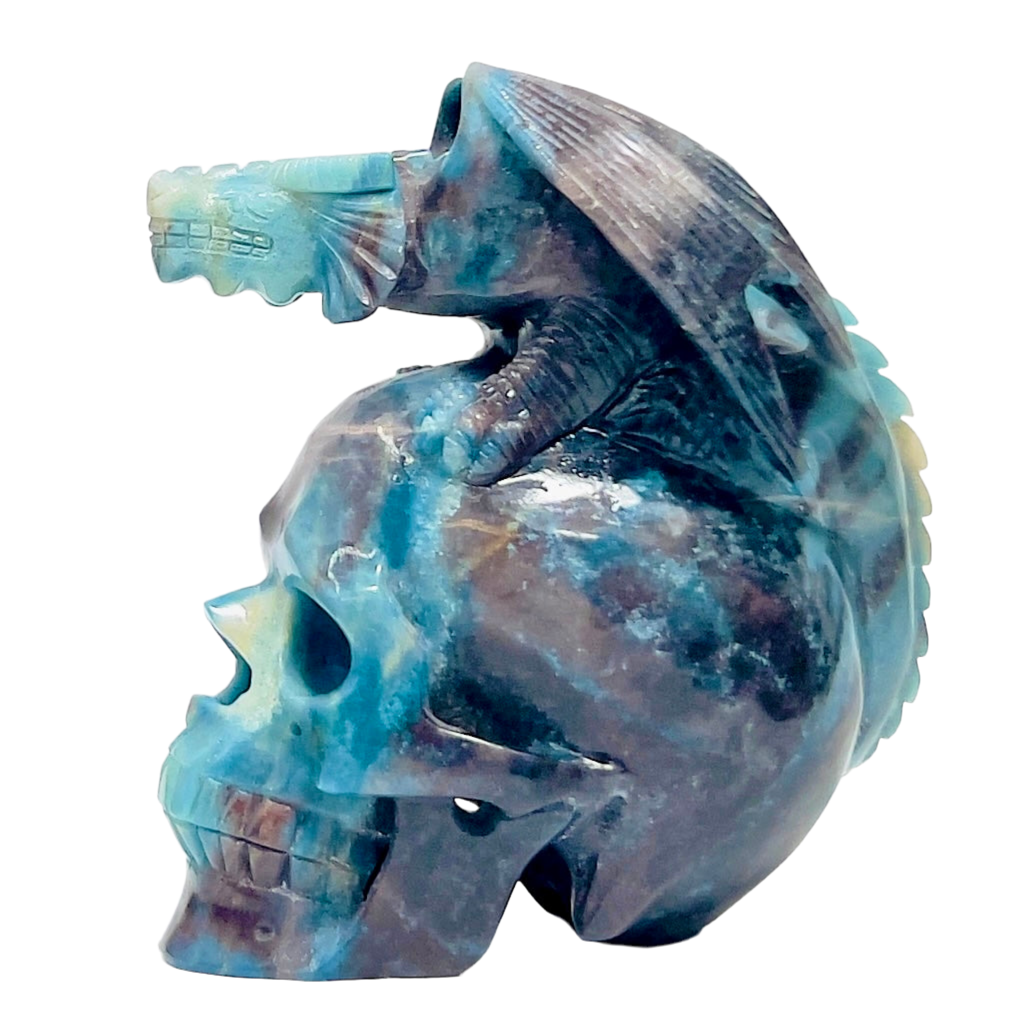 Trolleite Gargoyle on Skull Hollow Jaw Rare Healing Crystal Carving 1564g