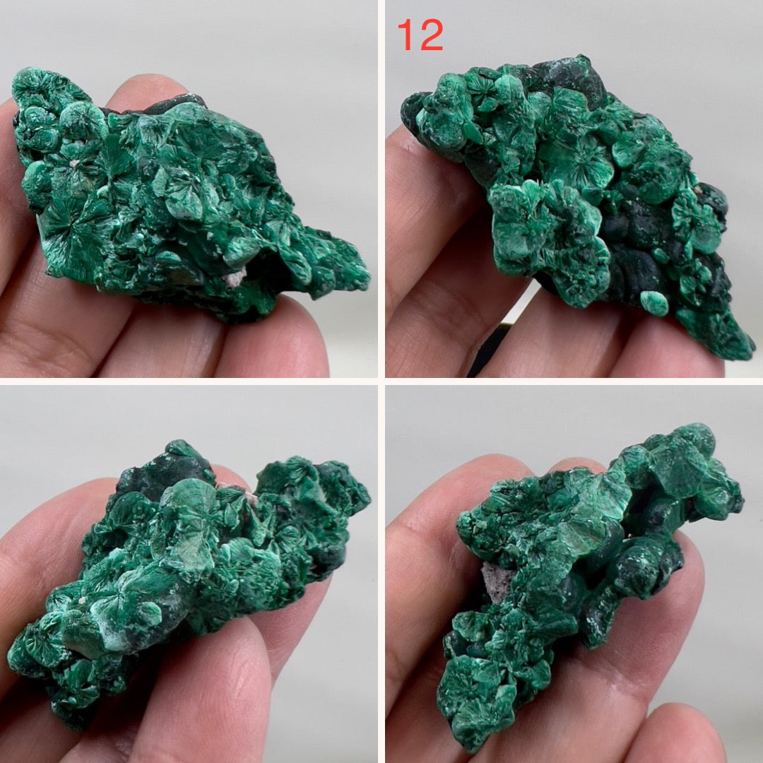 Malachite Specimen Raw Crystal Gemstone YOU CHOOSE