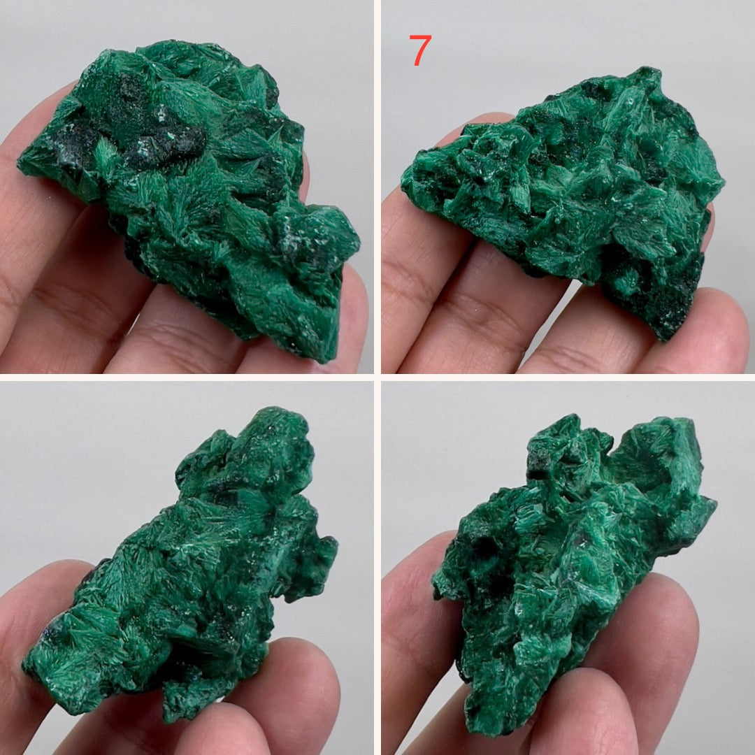 Malachite Specimen Raw Crystal Gemstone YOU CHOOSE