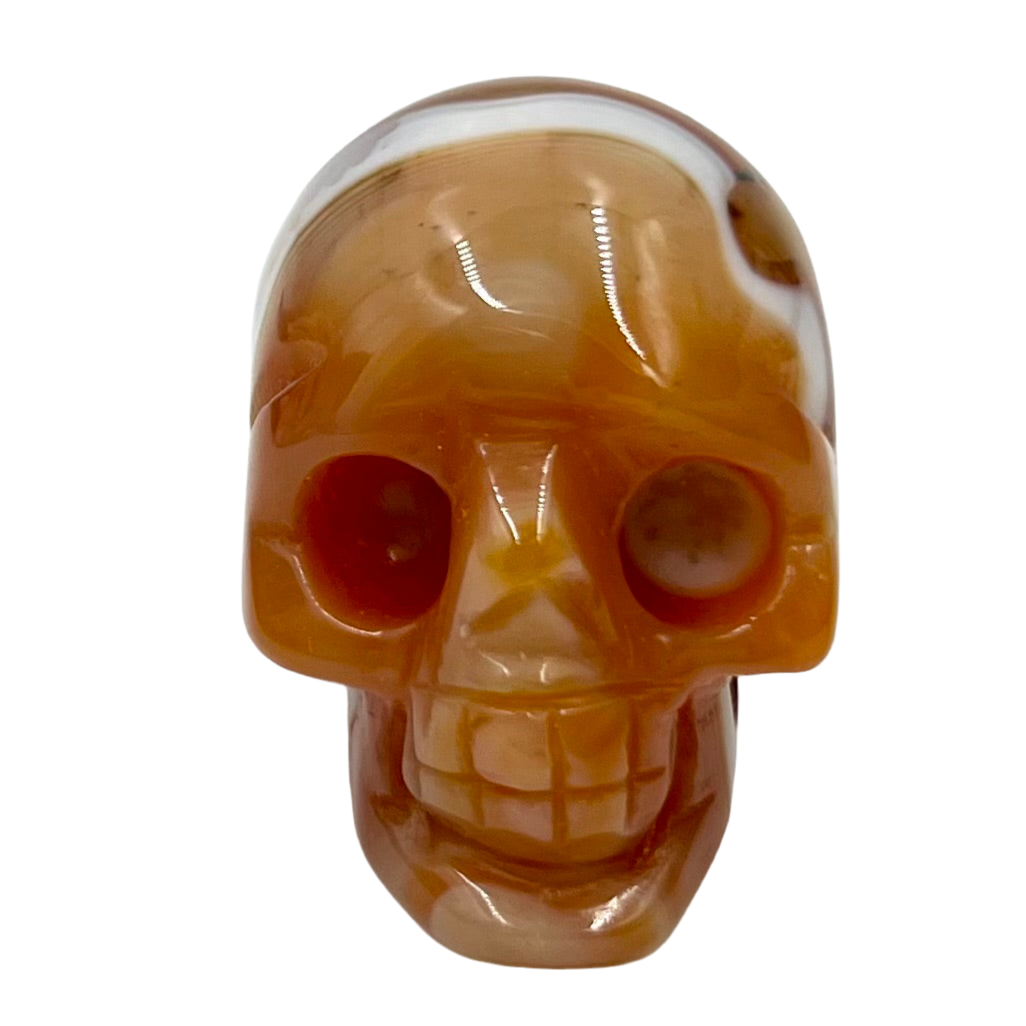 Carnelian Skull 2 Inches Rare Hand Carved Crystal Carving