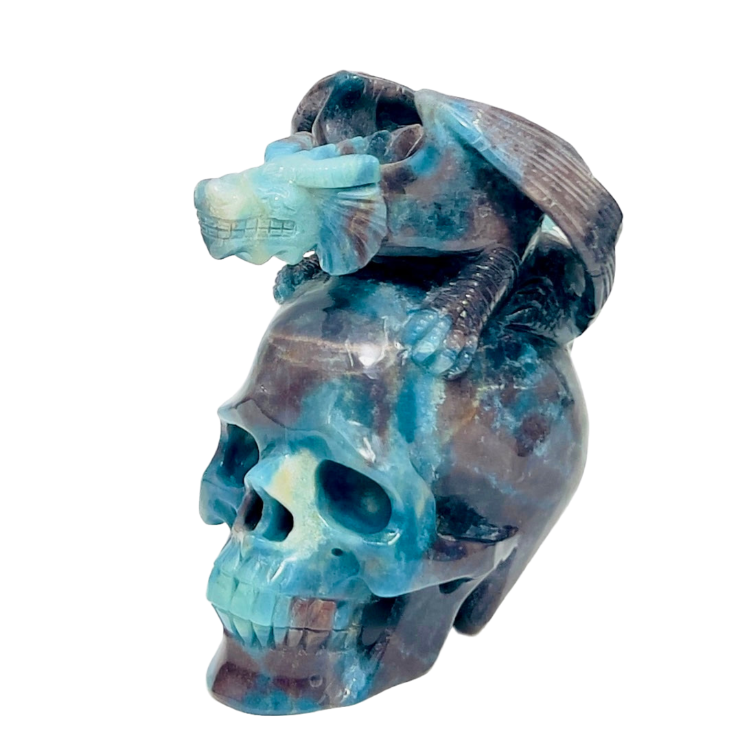 Trolleite Gargoyle on Skull Hollow Jaw Rare Healing Crystal Carving 1564g
