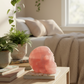 Rose Quartz Skull Healing Crystal Carving 780g