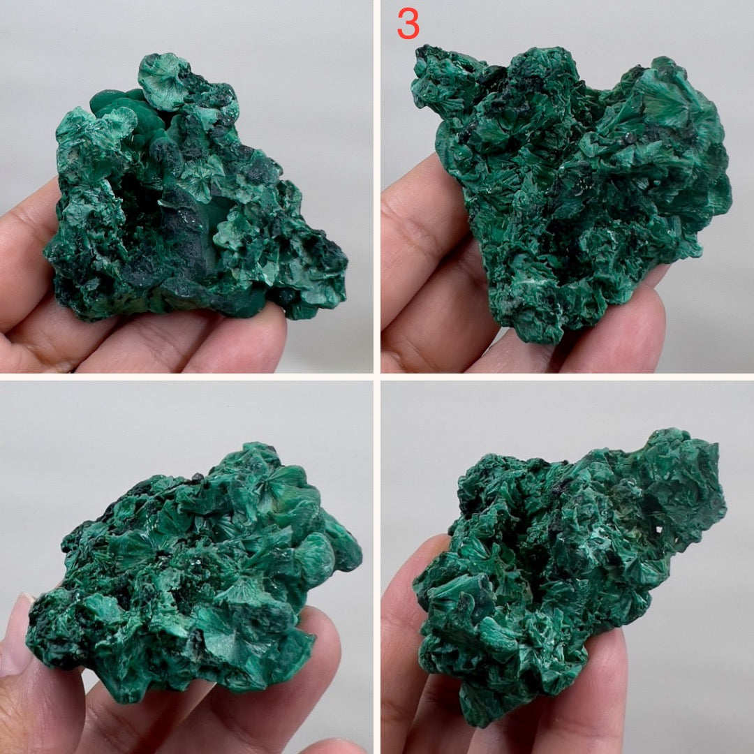 Malachite Specimen Raw Crystal Gemstone YOU CHOOSE