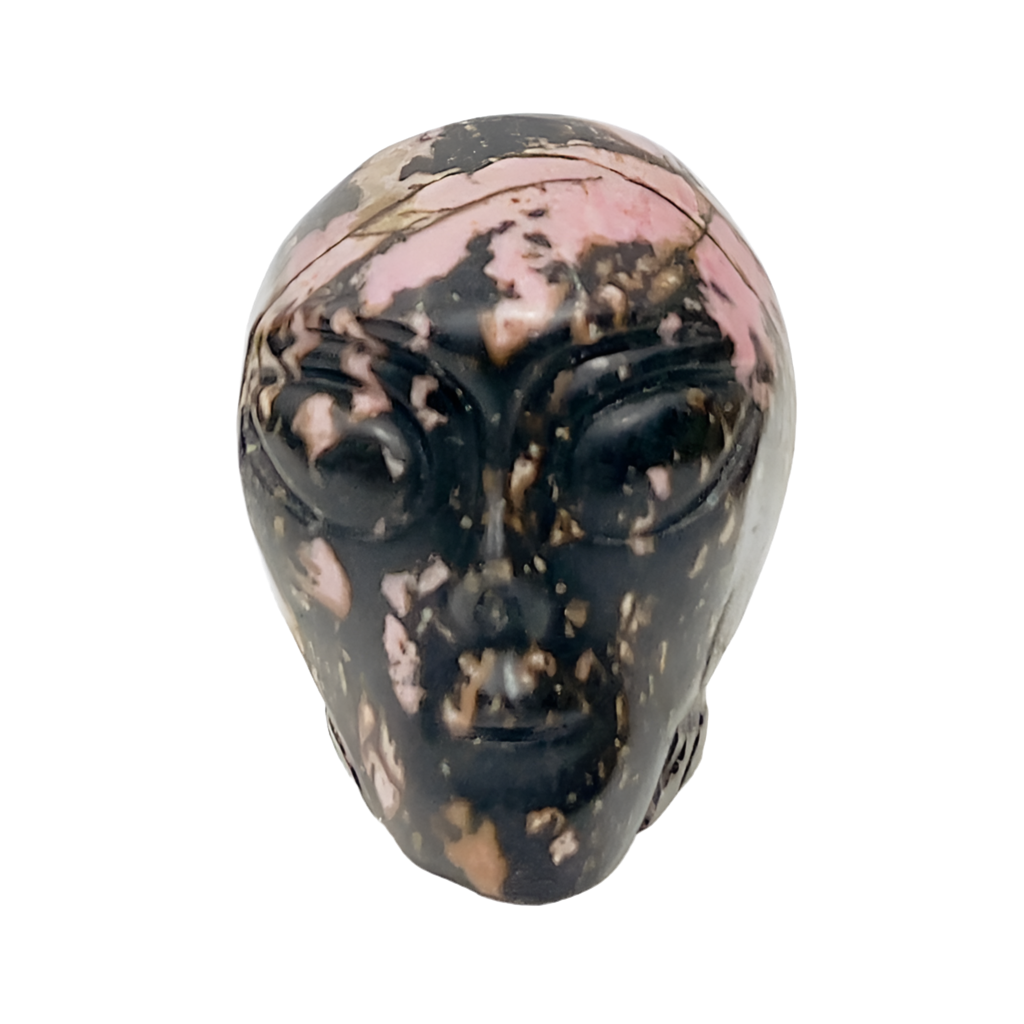 Rhodonite Alien Skull 2 Inches Healing Crystal Carving