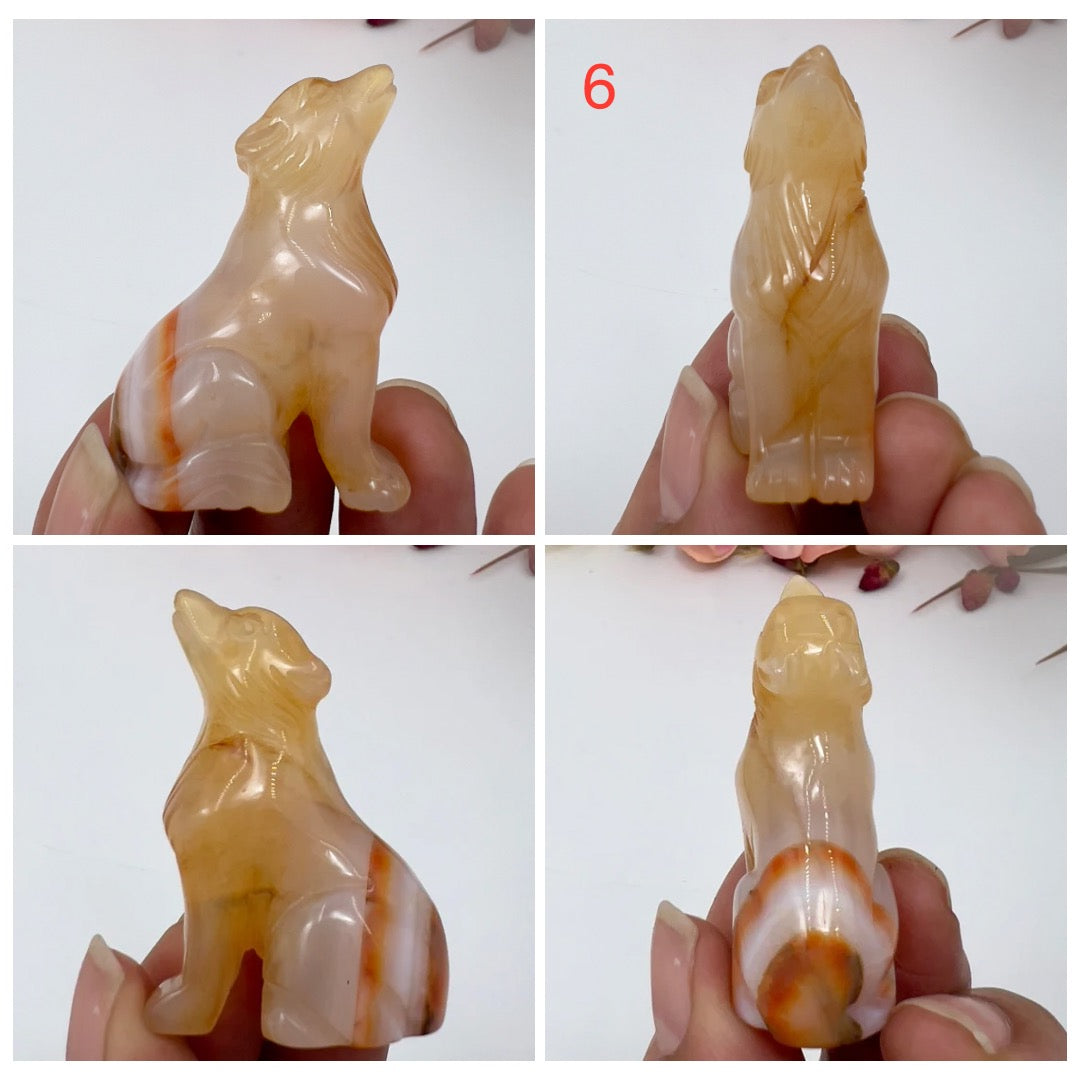Small Carnelian Wolves Dogs Crystal Carvings YOU CHOOSE