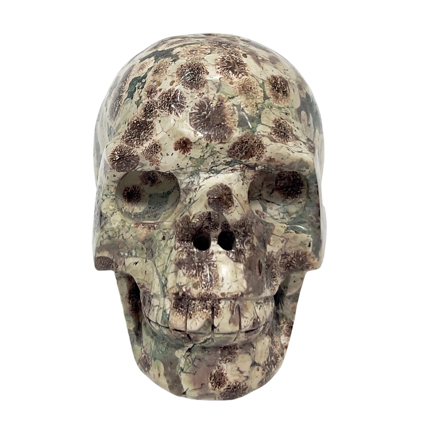 Russian Flower Cherry Blossom Jasper Hollow Jaw Skull Healing Crystal Carving 954g