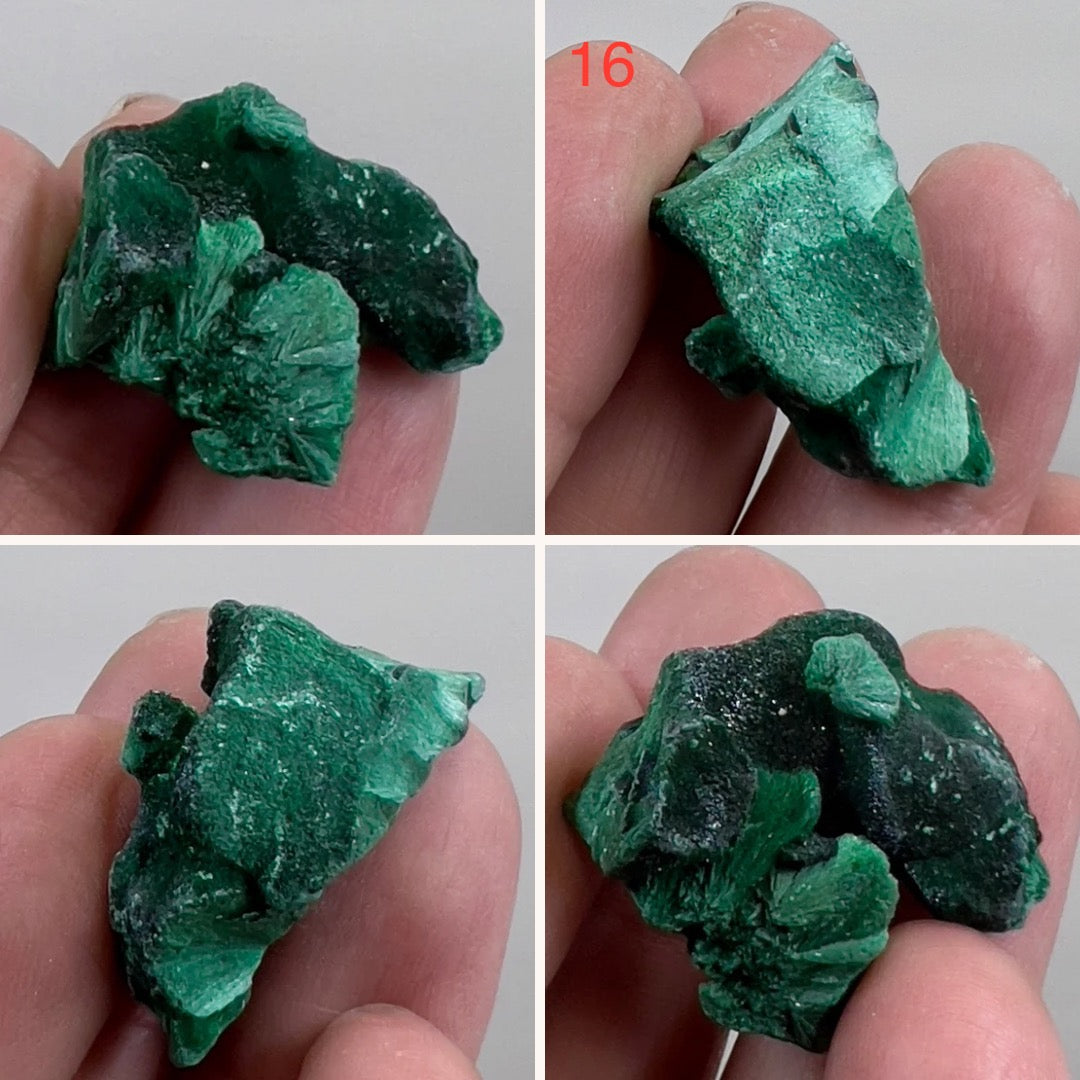 Malachite Specimen Raw Crystal Gemstone YOU CHOOSE