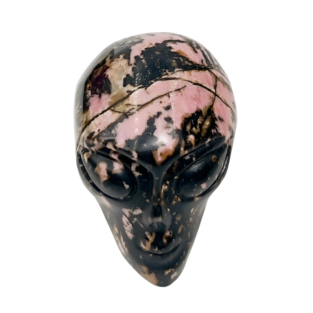 Rhodonite Alien Skull 2 Inches Healing Crystal Carving