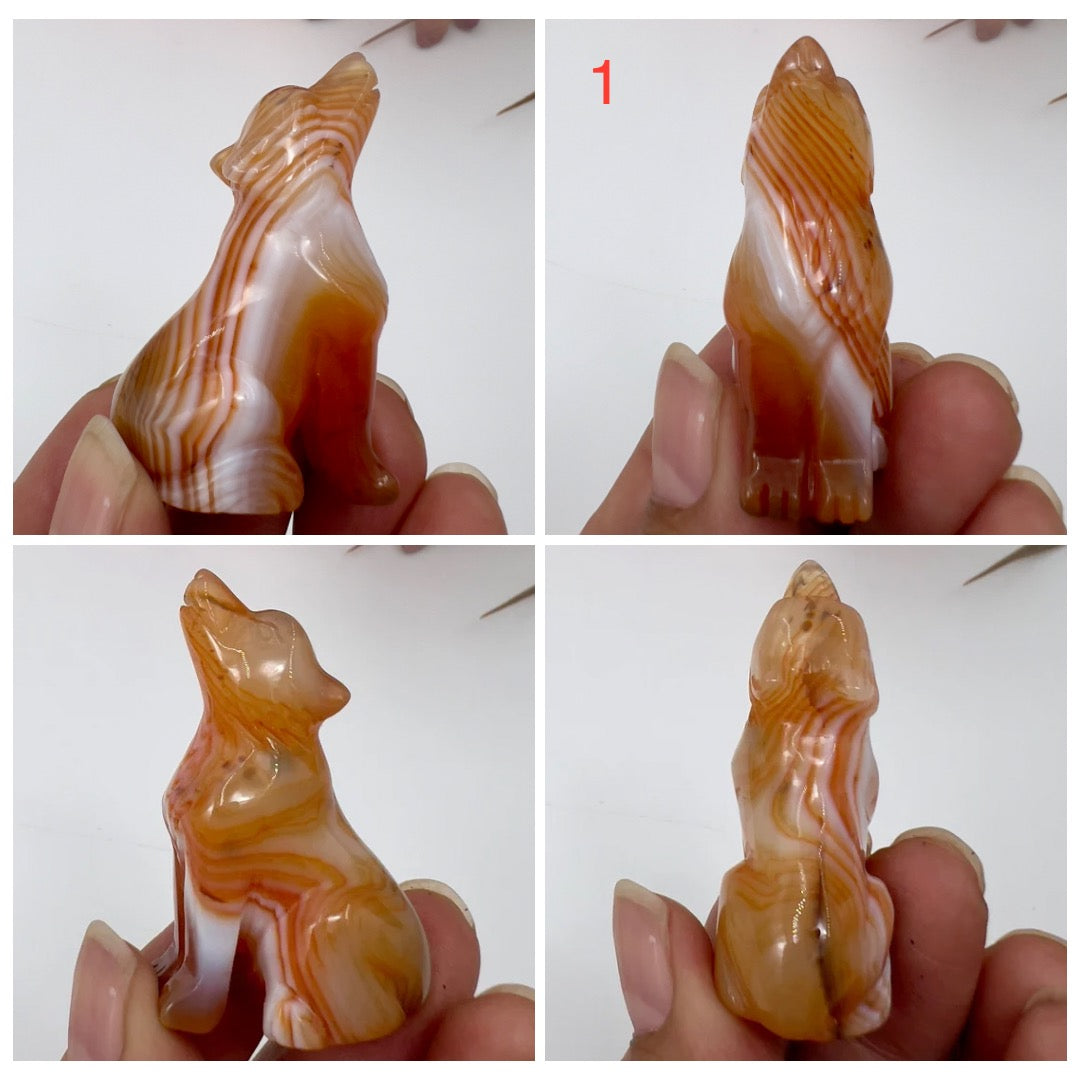 Small Carnelian Wolves Dogs Crystal Carvings YOU CHOOSE