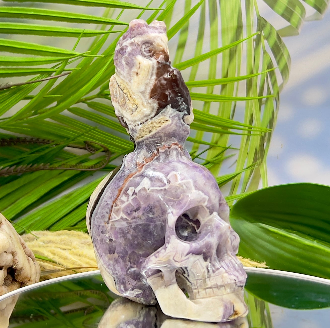 Chevron Dream Amethyst Owl on Skull Hollow Jaw  Crystal Carving 700g