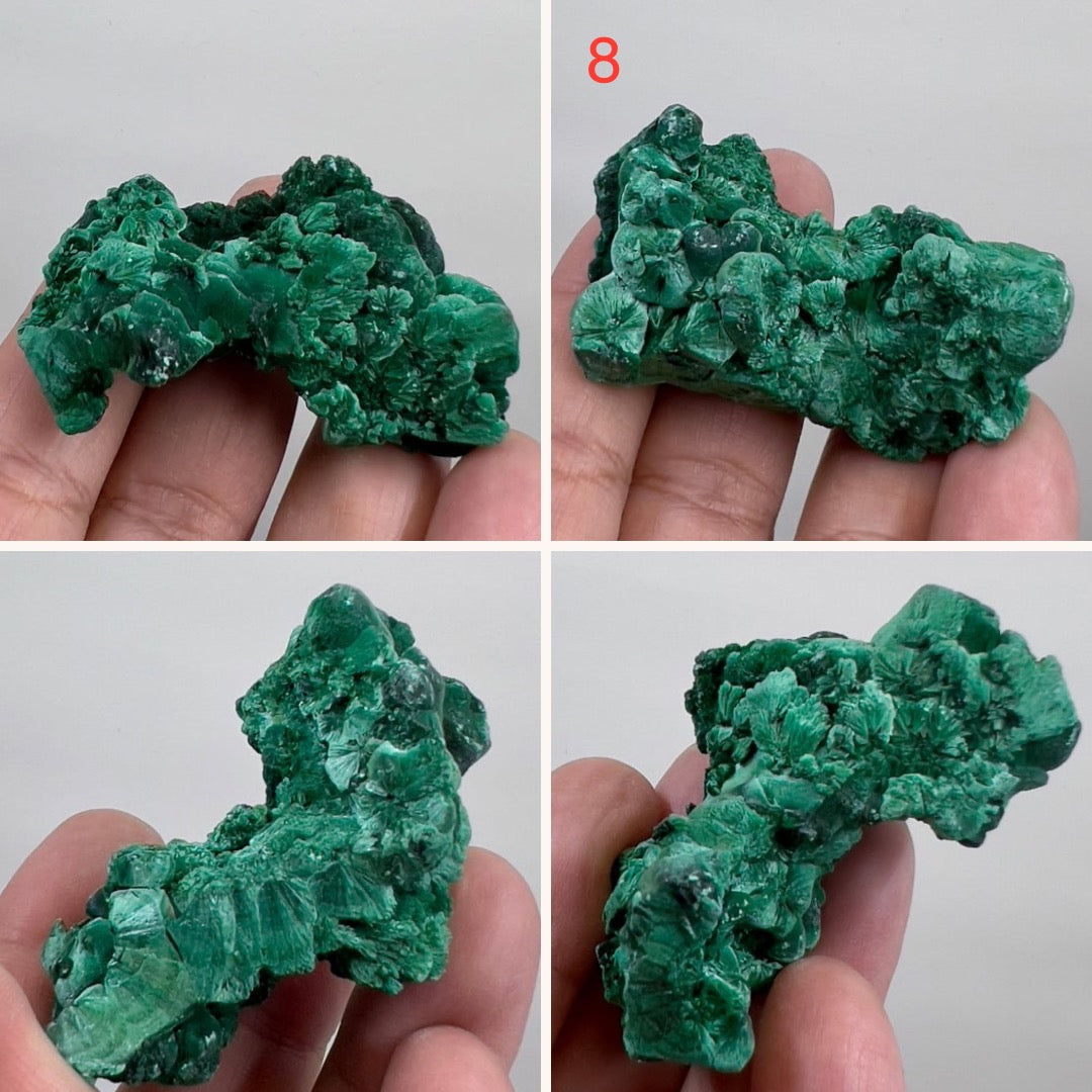 Malachite Specimen Raw Crystal Gemstone YOU CHOOSE
