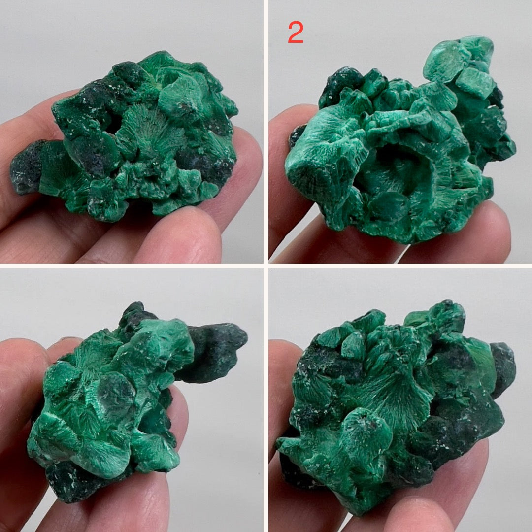 Malachite Specimen Raw Crystal Gemstone YOU CHOOSE