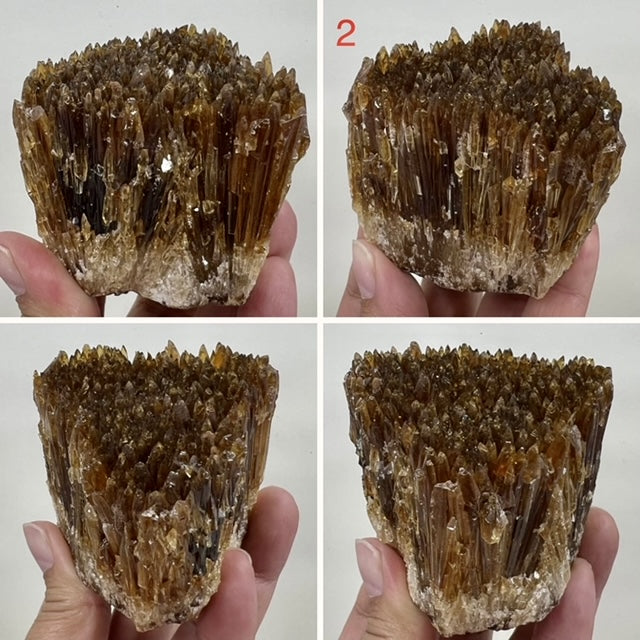 Amber Calcite Specimen Natural Raw Specimen Crystal YOU CHOOSE