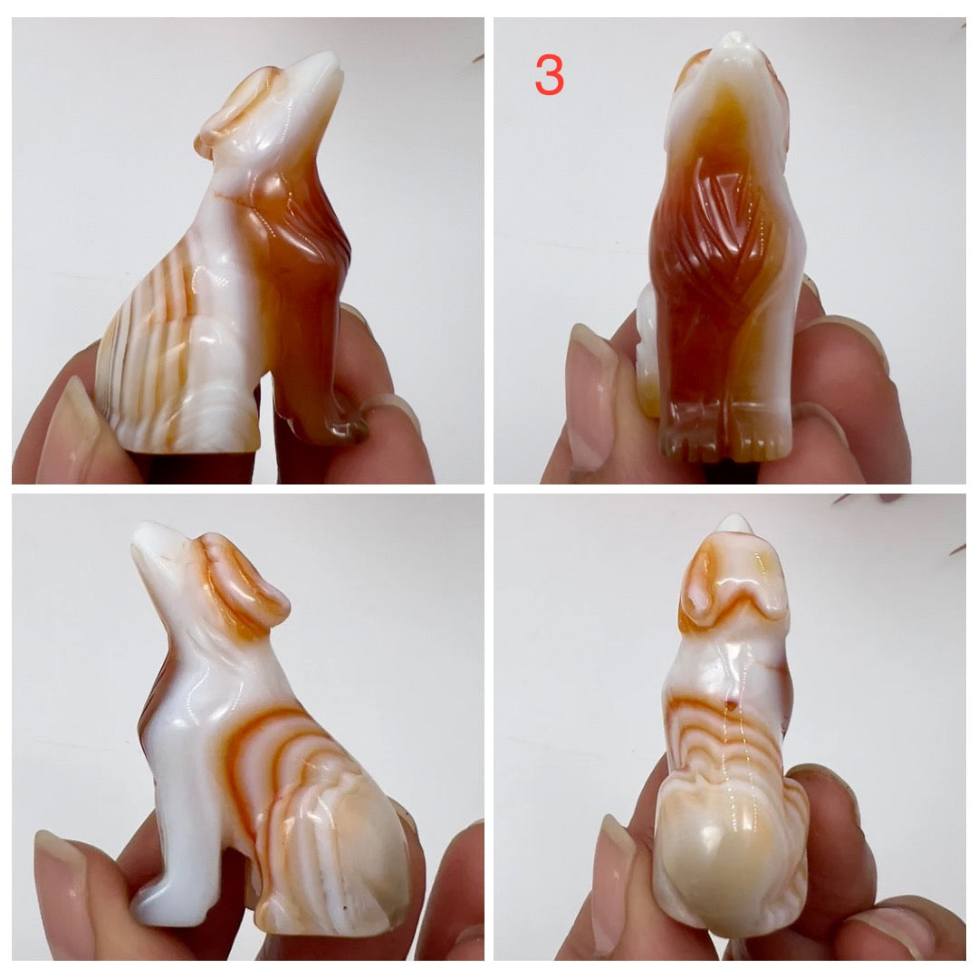 Small Carnelian Wolves Dogs Crystal Carvings YOU CHOOSE