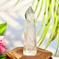 Black Tourmaline in Clear Quartz Tower Crystal Generator 156g 120mm
