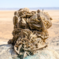 Desert Rose Selenite Barite Specimens Natural Crystal YOU CHOOSE