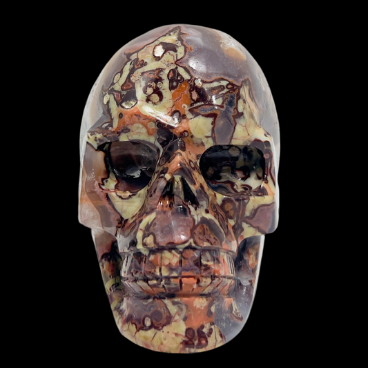Indonesian Bloodstone Money Agate Skull Healing Crystal Carving 1095g
