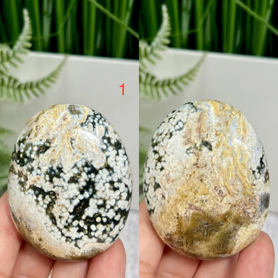 Bubble Ocean Sea Orbicular Jasper Palm Stones Worry Crystals YOU CHOOSE